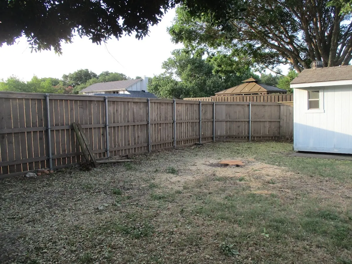 Cleared yard after professional tree removal in South Strafford